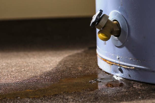 Best Mold removal after water damage  in Brookfield, WI