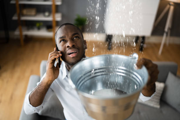 Best Water damage contractors near me  in Brookfield, WI