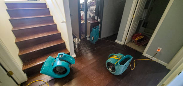 Best Basement water damage restoration  in Brookfield, WI