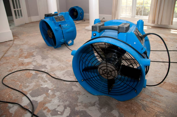 Best Local water damage restoration  in Brookfield, WI