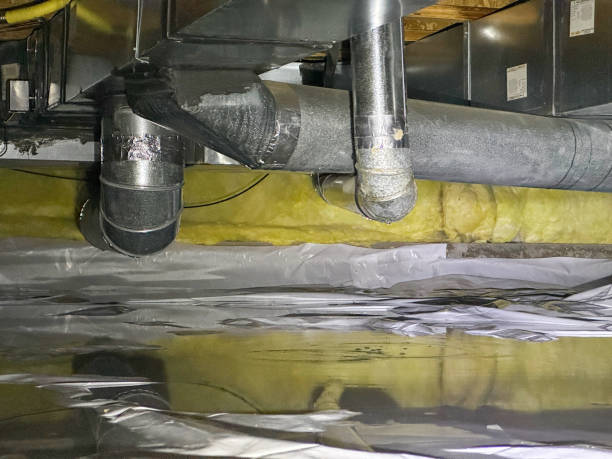 Best Water damage restoration specialists  in Brookfield, WI
