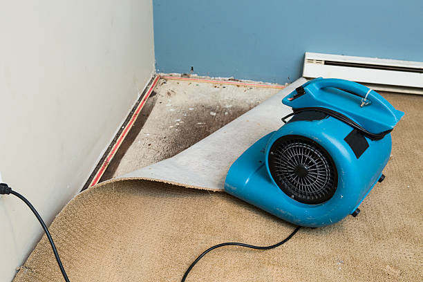 Best Flooded house restoration  in Brookfield, WI